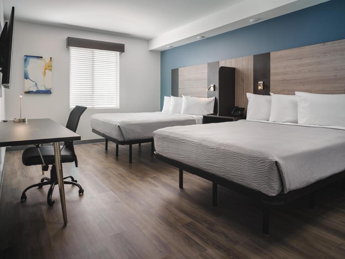 Stayapt Suites San Antonio-Randolph Live Oak Екстериор снимка